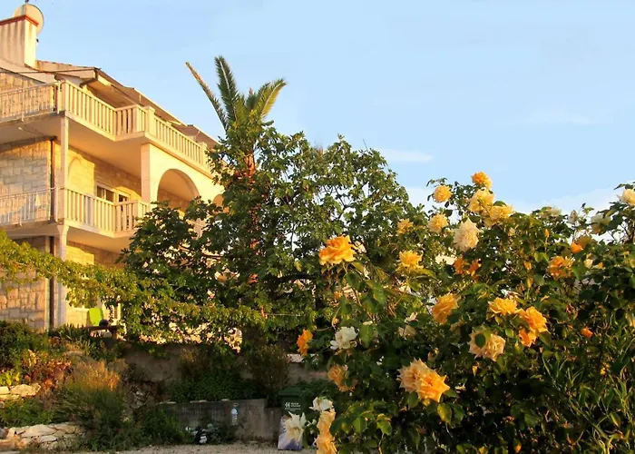 Sea View In Near The * Trogir